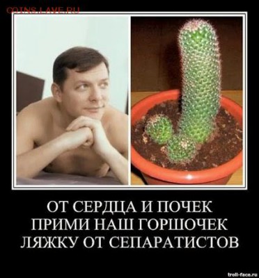 Ну а теперь про Украину - какус