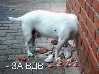 С Днем ВДВ! - image (3)