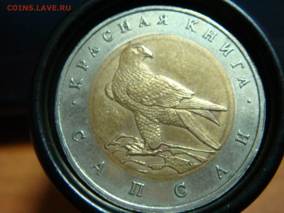 КК "Сапсан" 50 рублей 1994, НЕДОЛГИЙ АУКЦИОН! - DSC09864