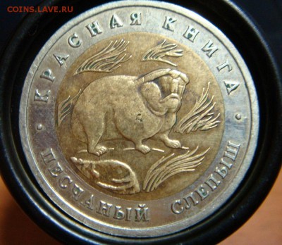 КК "Песчаный слепыш" 50 рублей 1994, НЕДОЛГИЙ АУКЦИОН! - DSC09862