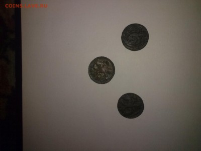 находки на тёщином огороде - КАКАЛИКИ (5)