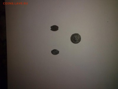 находки на тёщином огороде - КАКАЛИКИ (4)