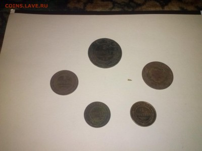 находки на тёщином огороде - КАКАЛИКИ (2)