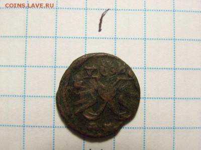 Полушки без цифры,1921,1720,чешуйка и 2 коп 1758 на оценку - RIMG0024 [800x600]