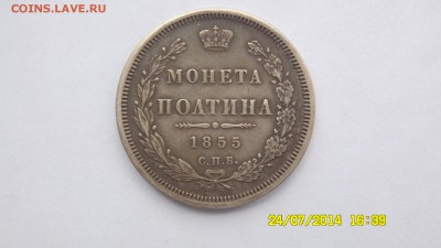 ПОЛТИНА 1855г. до 23:00, 8.08.14г. - SAM_0349.JPG