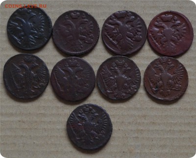 Денга 1731 - 1751 Погодовка (не полная) - DSC_1557.JPG