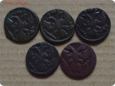 Полушка 1735(3шт), 1736,1739 5 монет. - DSC_1550.JPG
