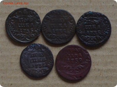 Полушка 1735(3шт), 1736,1739 5 монет. - DSC_1545.JPG