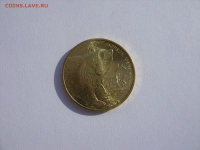 Монеты Польши. 5 злотых розница и опт. - 2 злотых 2011 Барсук - 2.JPG