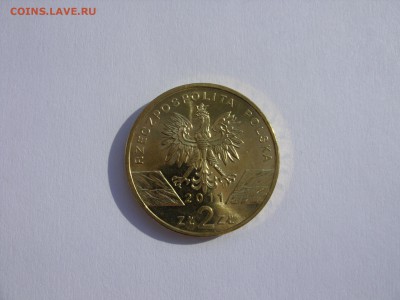 Монеты Польши. 5 злотых розница и опт. - 2 злотых 2011 Барсук - 1.JPG