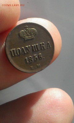 две полушки 1856 года ЕМ - 1