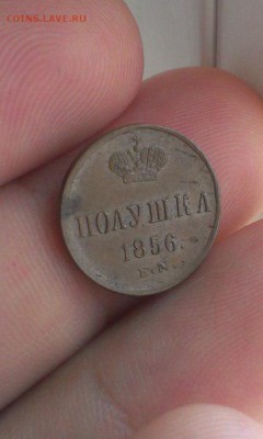 две полушки 1856 года ЕМ - 3