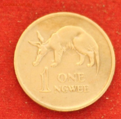 С рубля ЗАМБИЯ 1ngwee 1968г. ЗВЕРУШКА  до 10.08.14г. в 22-00 - IMG_3173.JPG