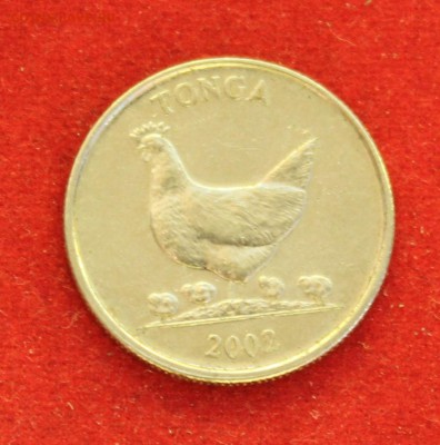 С рубля ТОНГА 5 сенити 2002г. КУРОЧКА  до 10.08.14г. в 22-00 - IMG_3148.JPG