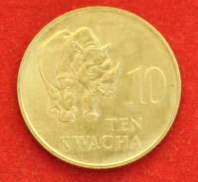 С рубля ЗАМБИЯ 10 квача 1992г. НОСОРОГ до 10.08.14г. в 22-00 - IMG_3129.JPG