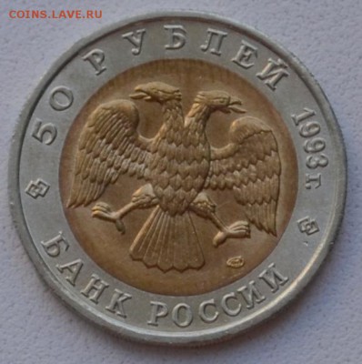 КК 50 рублей 1993 года Гималайский медведь - DSC_0938.JPG