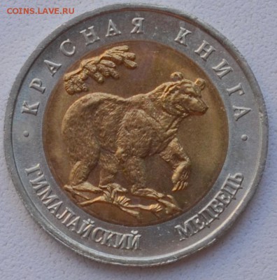 КК 50 рублей 1993 года Гималайский медведь - DSC_0934.JPG