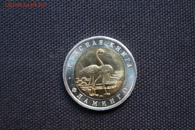 Красная Книга 1994 Фламинго До 10.08.14 - IMG_5163.JPG
