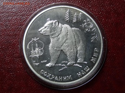Сохраним наш мир 3р 1993 Медведь до 07.08 22:00 МСК - DSC04705.JPG