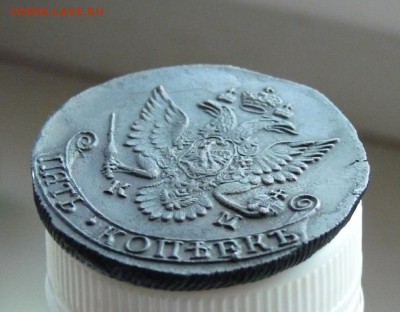 5 копеек 1784 км до 07.08 живой. - P1080815.JPG