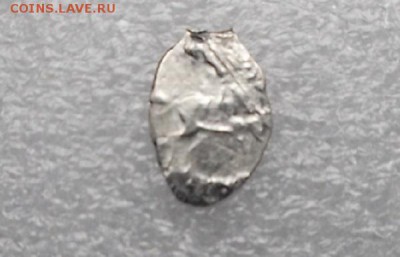 чешуйки 2шт на определение. - DSCF1462.JPG