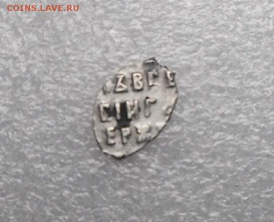 чешуйки 2шт на определение. - DSCF1461.JPG