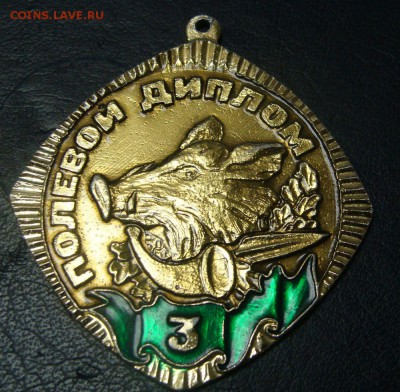 Полевой диплом 1,2 и 3 степень - DSC04063.JPG
