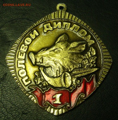 Полевой диплом 1,2 и 3 степень - DSC04062.JPG