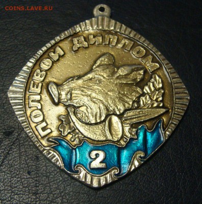 Полевой диплом 1,2 и 3 степень - DSC04064.JPG