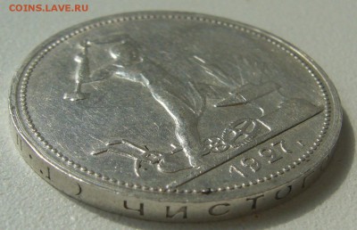 ХОРОШИЙ ПОЛТИННИК 1927 года старт с 200 р. до 12.08-22.00.00 - P1230426.JPG