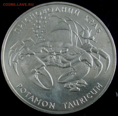 2 гривны(краб) 2000 года до 22-00 12.08.14 года - DSC04548.JPG