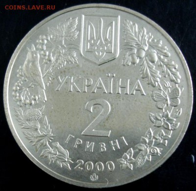 2 гривны(краб) 2000 года до 22-00 12.08.14 года - DSC04547.JPG