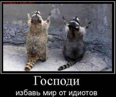 Ну а теперь про Украину - YVkfPcCsgms