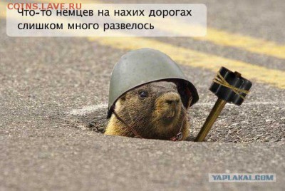 Ну а теперь про Украину - LAWeJ26mROk