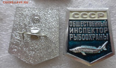 Общественный инспектор рыбоохраны СССР   до 14.8 в 22-00 мск - нн  10.08.14 ггг 021.JPG