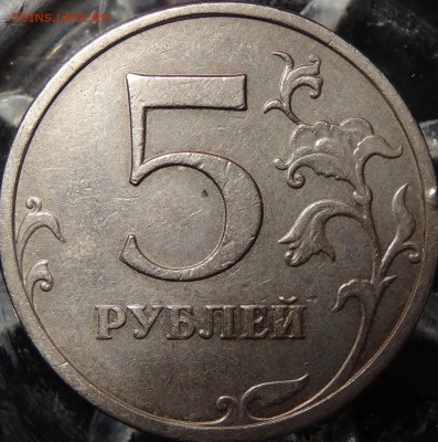 Подскажите правильно ли определил разновиды - 55
