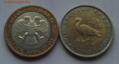 1992г.10 руб.краснозобая казарка + 100 руб.ммд до 14.08 - (12).JPG