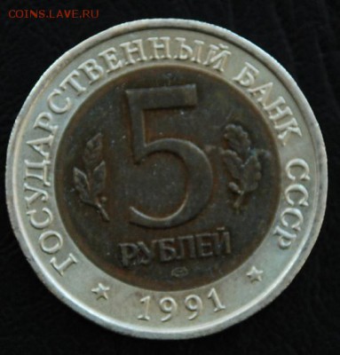 ФИКС Винторогий козел до 14.08 22-10 - DSC_9492.JPG