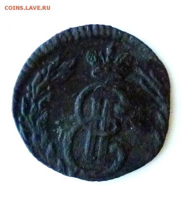 Полушка сибирка 1770 до 13.08 - P1080870.JPG