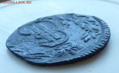 Полушка сибирка 1770 до 13.08 - P1080875.JPG