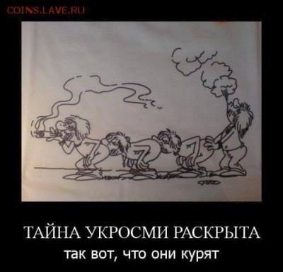 Ну а теперь про Украину - 1406474034_10451007_514221412040008_3999185395333277076_n