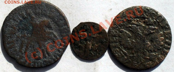 полушка 1704+бонусы.04.04.10.до 23.00 по москве. - SDC10326.JPG