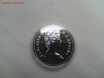 Канада 1 доллар 1980 Белый Медведь до 15.08 - IMG_20140812_160349