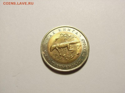 50 рублей 1993г (Туркменский зублефар) до 16.08.14 (22.00) - RIMG0002 [800x600]