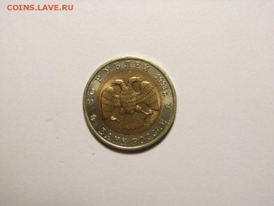 50 рублей 1993г (Туркменский зублефар) до 16.08.14 (22.00) - RIMG0005 [800x600]