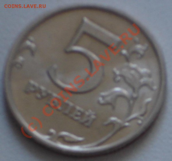 5р 2008 "что это?" - DSC06026.JPG