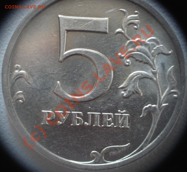 5р 2008 "что это?" - DSC06028.JPG