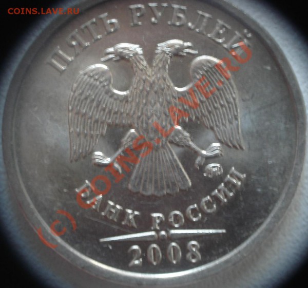 5р 2008 "что это?" - DSC06029.JPG