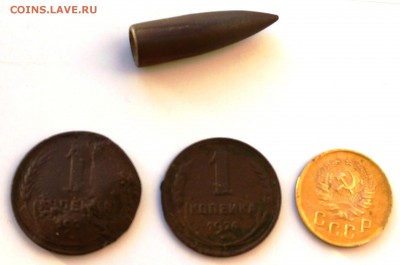 первый сезон со своей "теркой" - DSC02145.JPG