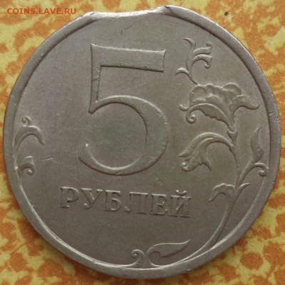 5 р 2008 г СПМД - выкус. - 5р 08 1.JPG